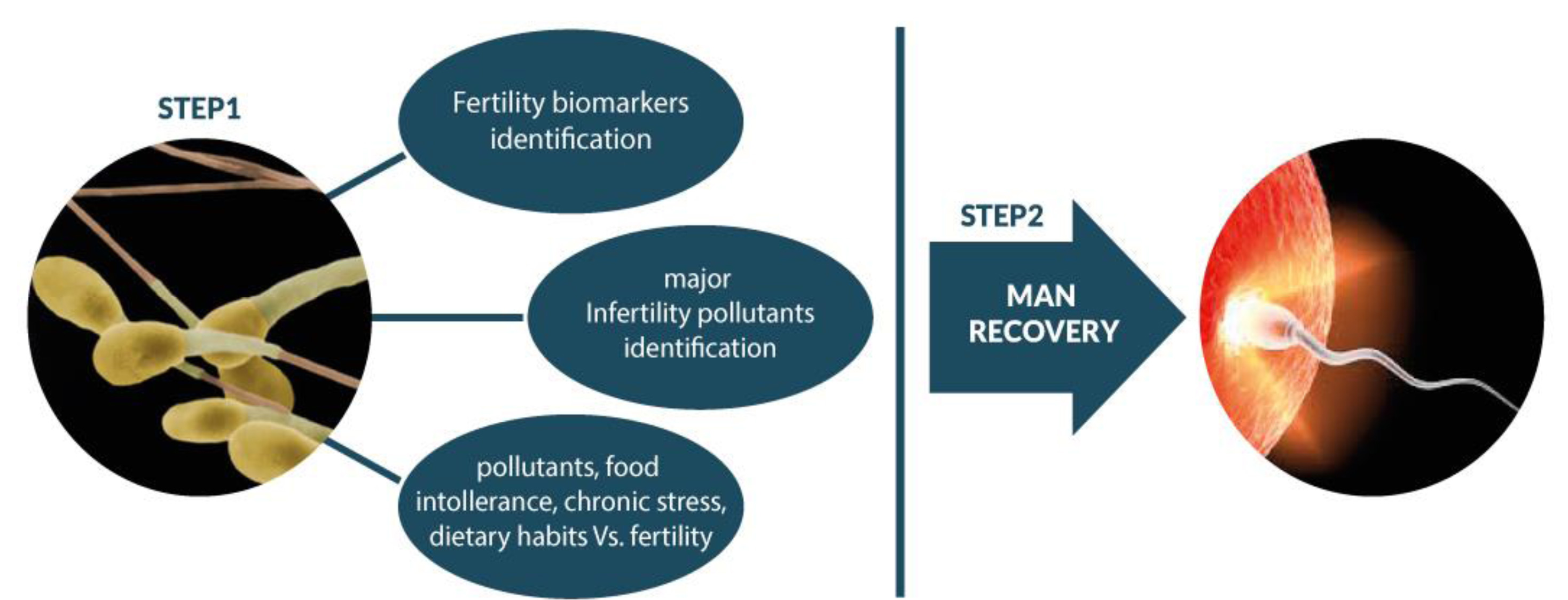 EcoFoodfertility gli step